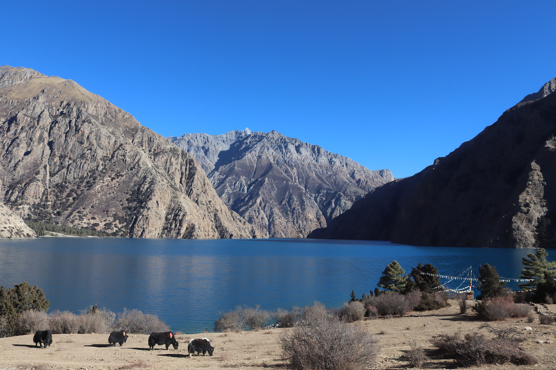 dorpatan dolpo trekking